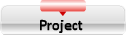 Project