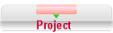 Project